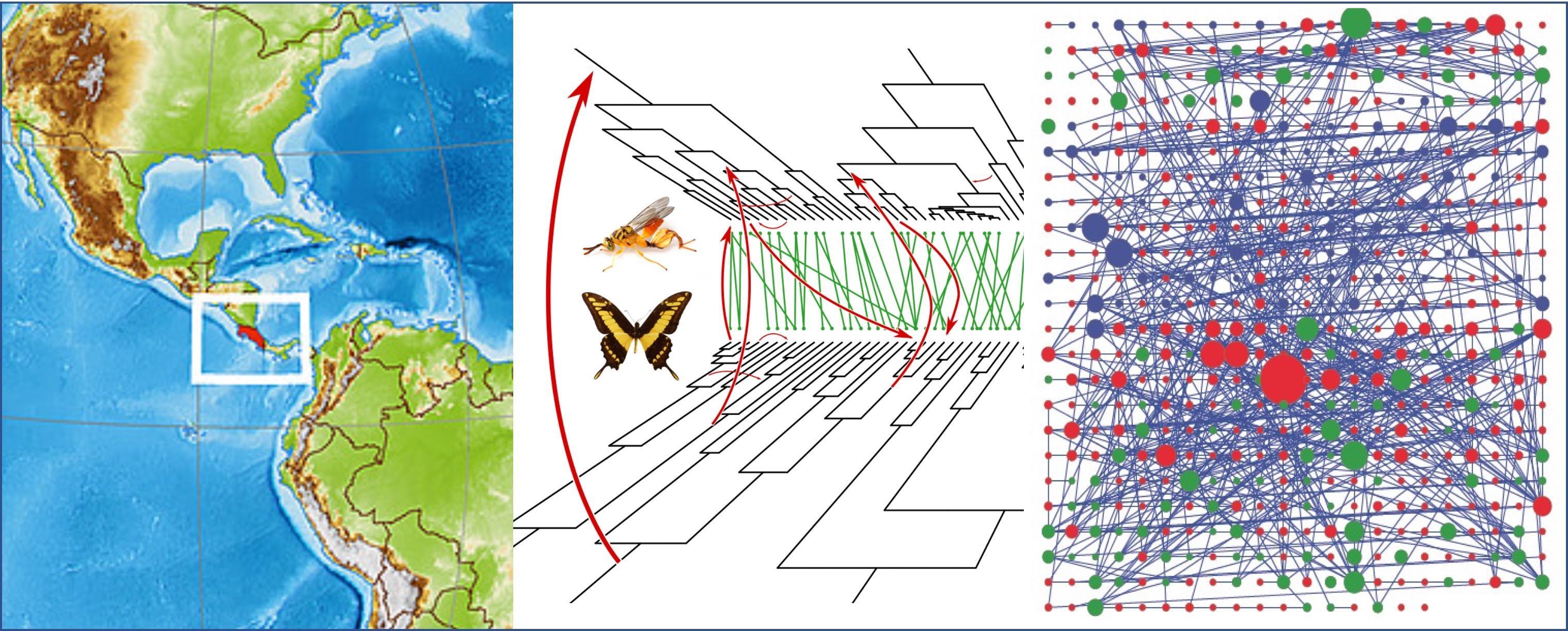 Une illustration schématique du projet Horizon